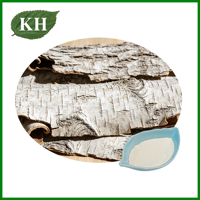 White Willow Bark Extract Salicin